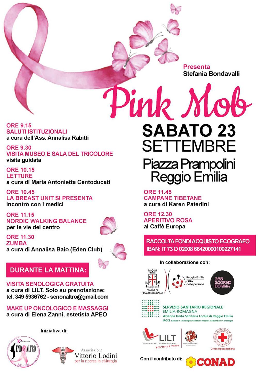 Pink Mob Senonaltro e Lodini Locandina 1000